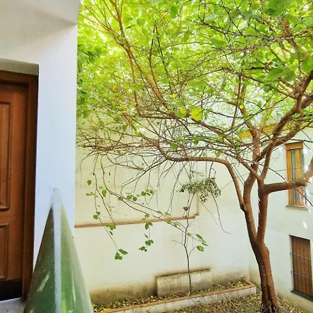 Vides De Moriles Apartamento *